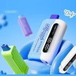 OEM /ODM Disposable Vape 20000puffs - Afbeelding 2