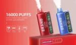 OEM / ODM Disposable Vape 16000Puffs - Afbeelding 6