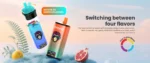 OEM / ODM Disposable Vape 60000Puffs - Afbeelding 7