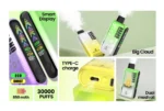 OEM / ODM Disposable Vape 30000Puffs - Image 8