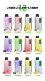 OEM / ODM Disposable Vape 30000Puffs - Image 14