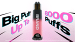 OEM / ODM Disposable Vape 800 PUFFS (TPD Certified) - Immagine 2