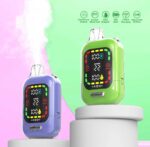 OEM / ODM Disposable Vape 30000Puffs – Bild 4