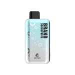OEM / ODM Disposable Vape 30000Puffs - Image 3