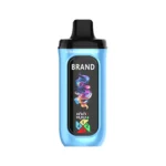 OEM / ODM Disposable Vape 40000Puffs