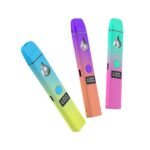 2ml Rechargeable, Leak-Resistant, Button Activated Disposable Vape Pen – Compatible with Live Resin, Rosin, and Distillate Oil - Afbeelding 3